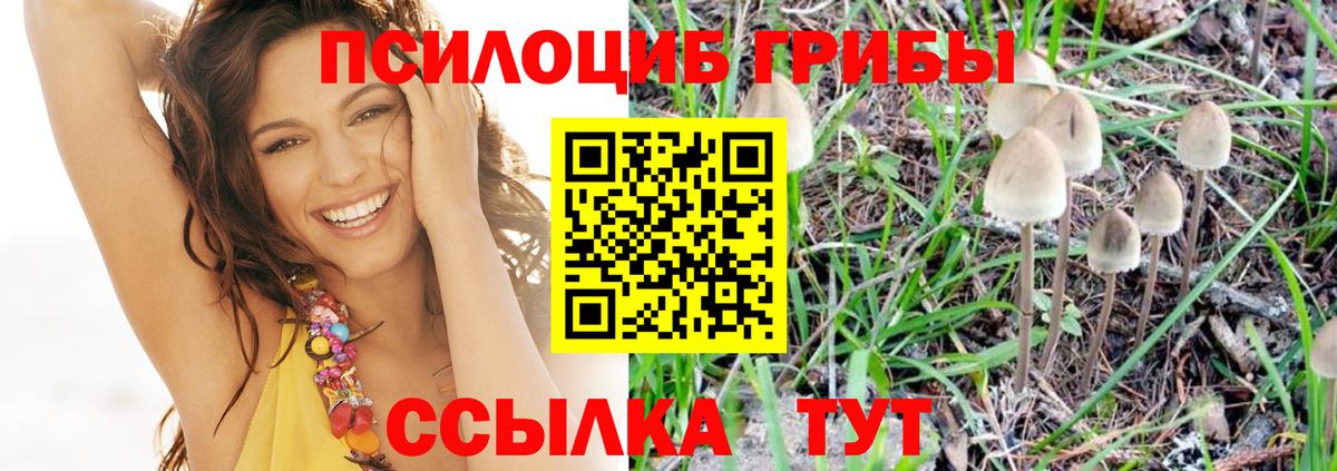 Тавда  Галлюциногенные грибы Magic Shrooms  Вход с VPN 