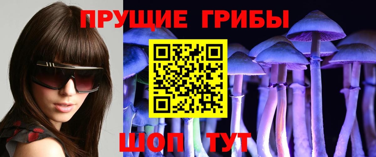 Галлюциногенные грибы мухоморы Тавда