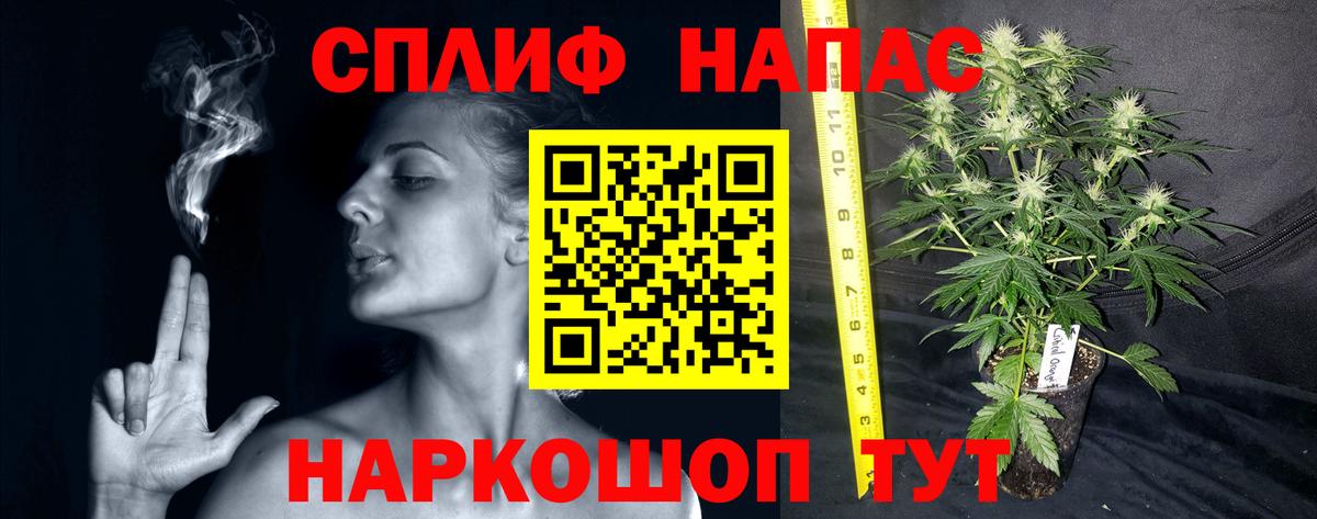 МАРИХУАНА Ganja Тавда